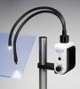 Schott KL-300 LED